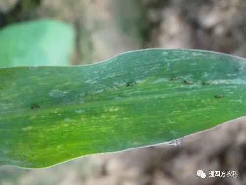 ���הQ����ô�k����ץ�o��Q��Ӱ푮a(ch��n)��!!!