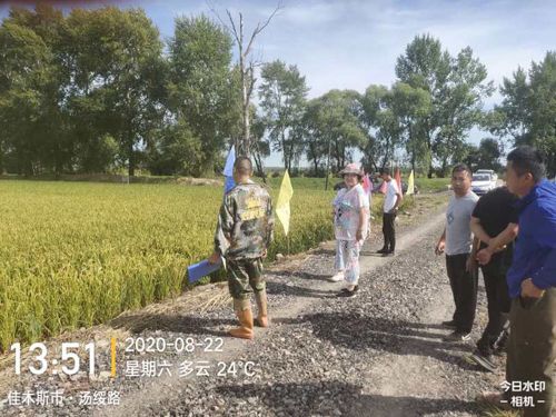 ͨ�ķ��r(n��ng)�Ƹ����;��׏ͺϷ���ˮ���ϵ�Ч�����F(xi��n)