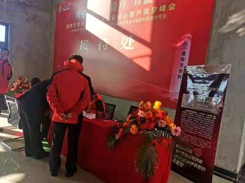 ����_������|����ʡ����